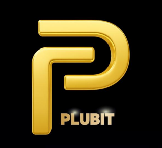 PLUBIT company logo